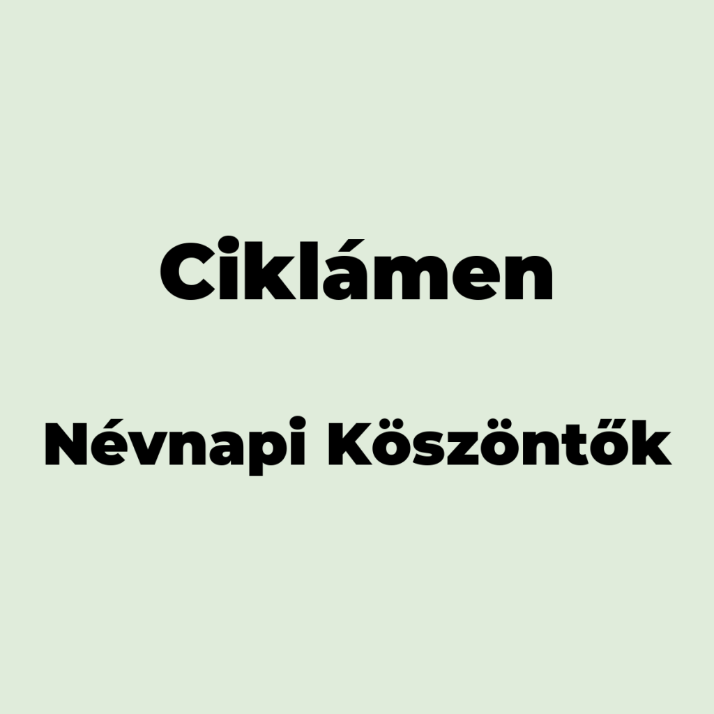 10291-ciklamen-nevnapi-koszonto