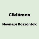 10291-ciklamen-nevnapi-koszonto