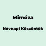 11026-mimoza-nevnapi-koszonto