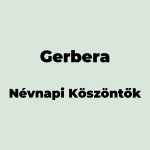 11409-gerbera-nevnapi-koszonto