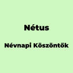 13104-netus-nevnapi-koszonto