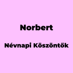 13130-norbert-nevnapi-koszonto
